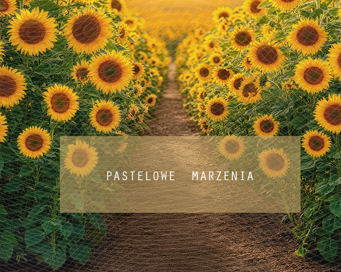 Fabric photographic background from the Autumn category, Frame 250x200 cm