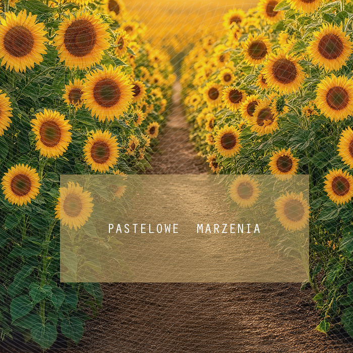 Fabric photographic background from the Autumn category, Frame 250x250 cm