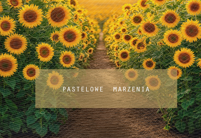 Fabric photographic background from the Autumn category, Frame 290x200 cm
