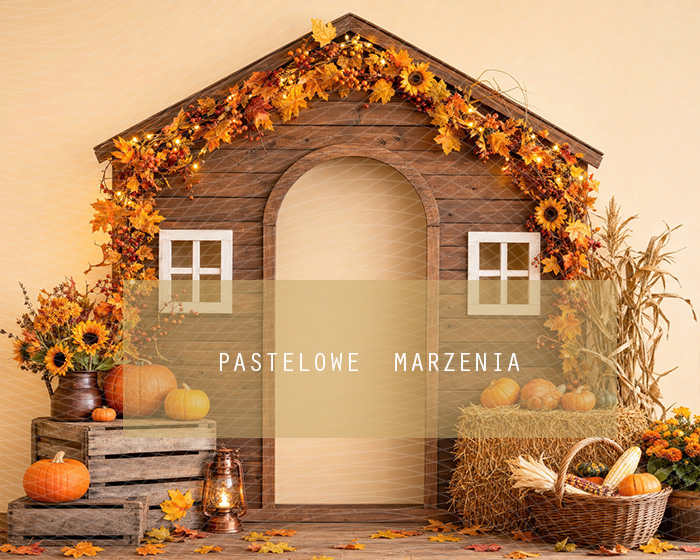 Fabric photographic background from the Autumn category, Frame 250x200 cm