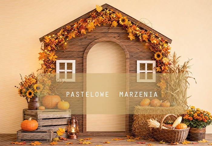 Fabric photographic background from the Autumn category, Frame 290x200 cm