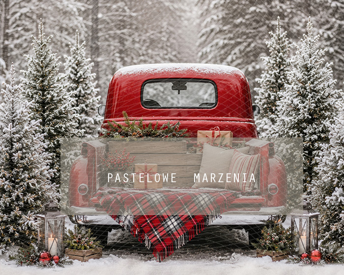Fabric photographic background from the Christmas category, Frame 250x200 cm