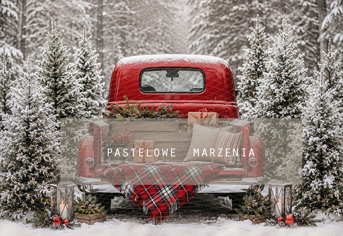 Fabric photographic background from the Christmas category, Frame 290x200 cm