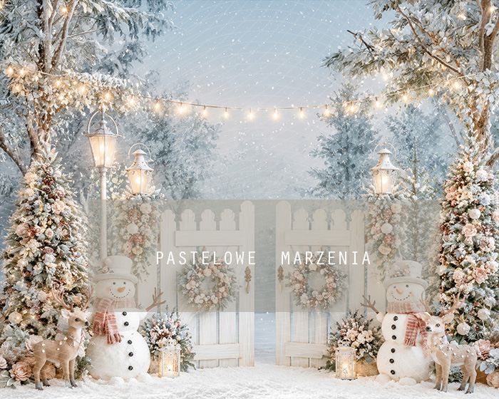 Fabric photographic background from the Christmas category, Frame 250x200 cm
