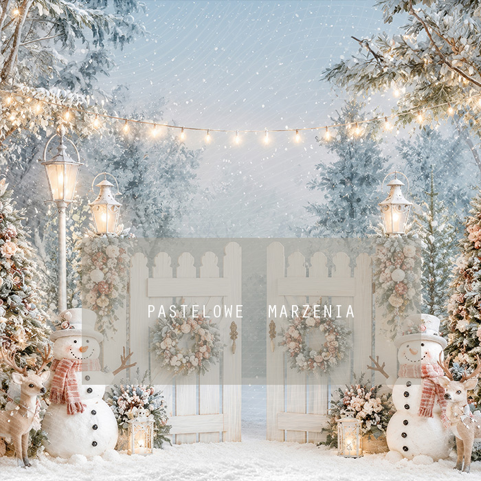 Fabric photographic background from the Christmas category, Frame 250x250 cm