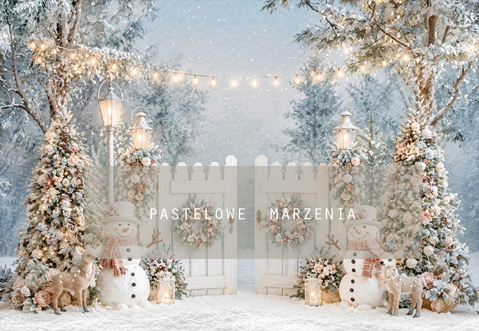 Fabric photographic background from the Christmas category, Frame 290x200 cm