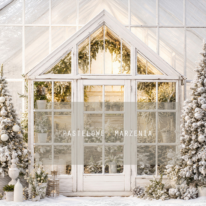 Fabric photographic background from the Christmas category, Frame 250x250 cm
