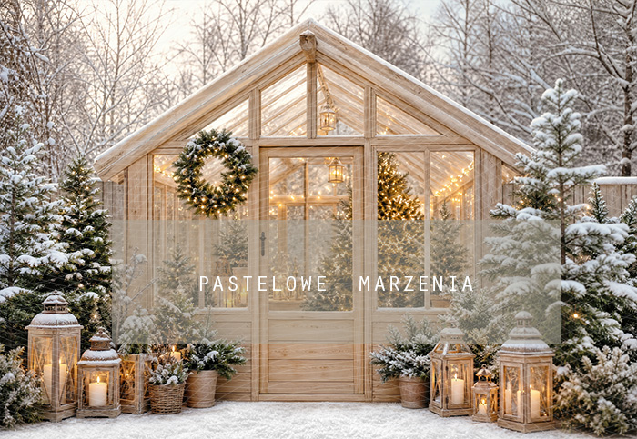 Fabric photographic background from the Christmas category, Frame 290x200 cm