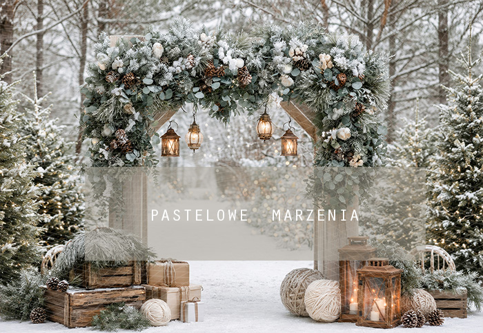 Fabric photographic background from the Christmas category, Frame 290x200 cm