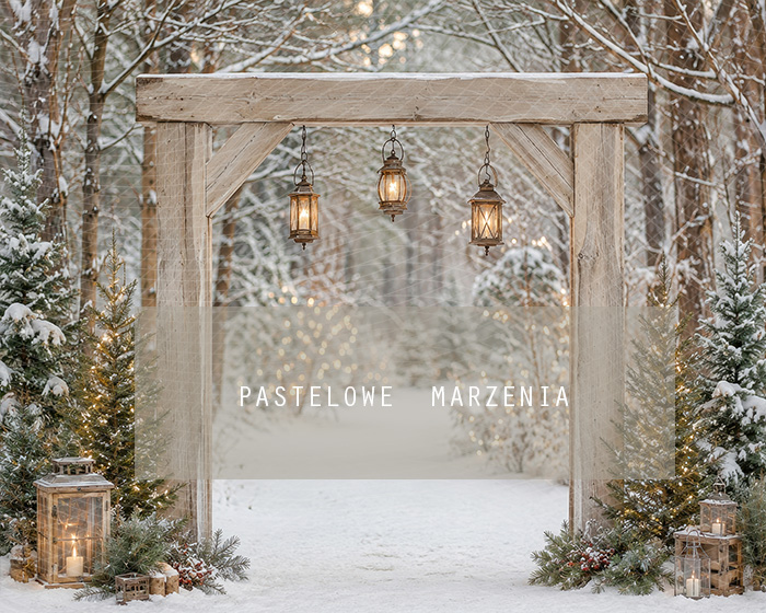 Fabric photographic background from the Christmas category, Frame 250x200 cm
