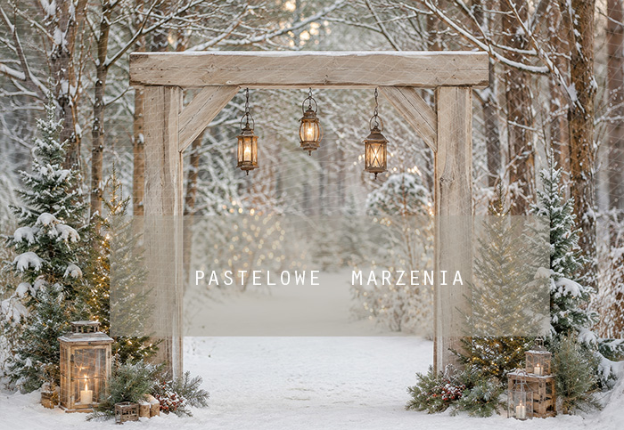 Fabric photographic background from the Christmas category, Frame 290x200 cm