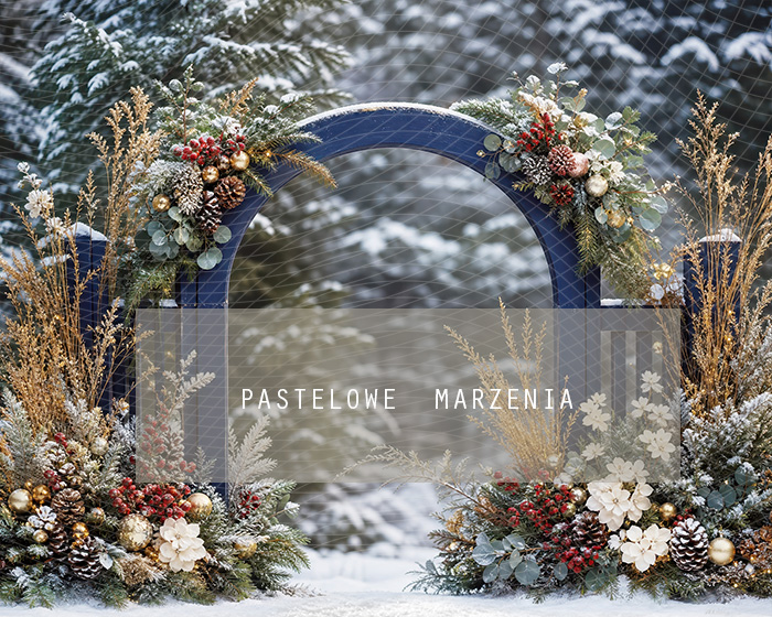 Fabric photographic background from the Christmas category, Frame 250x200 cm