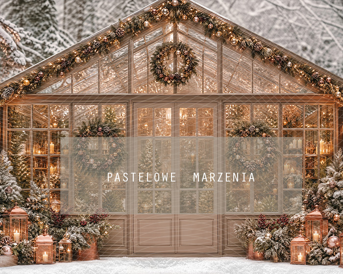 Fabric photographic background from the Christmas category, Frame 250x200 cm