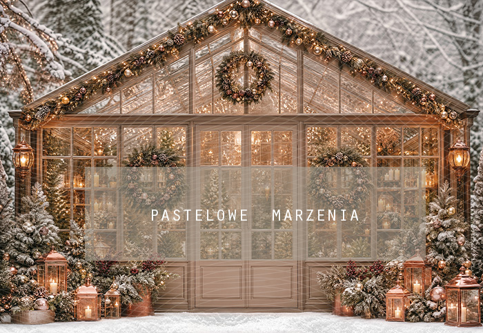 Fabric photographic background from the Christmas category, Frame 290x200 cm