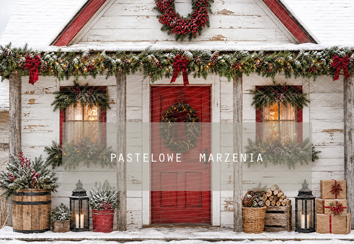 Fabric photographic background from the Christmas category, Frame 290x200 cm