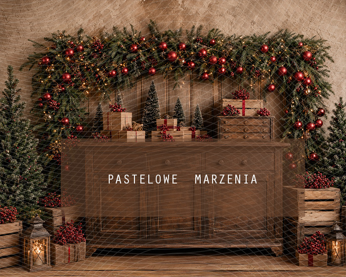 Fabric photographic background from the Christmas category, Frame 250x200 cm