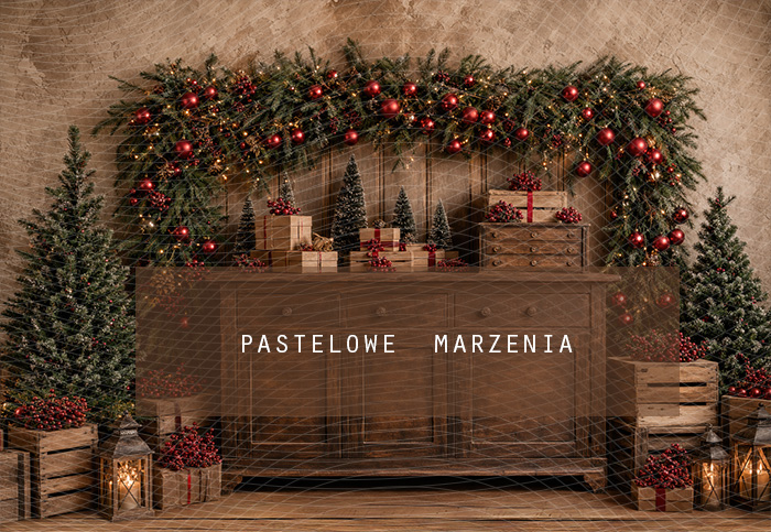 Fabric photographic background from the Christmas category, Frame 290x200 cm