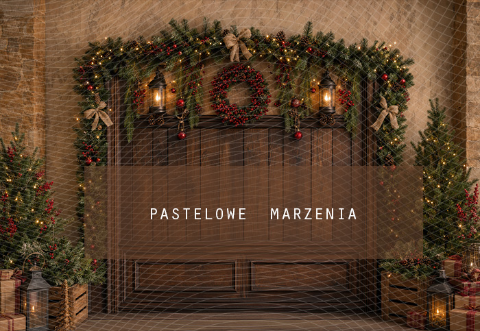 Fabric photographic background from the Christmas category, Frame 290x200 cm