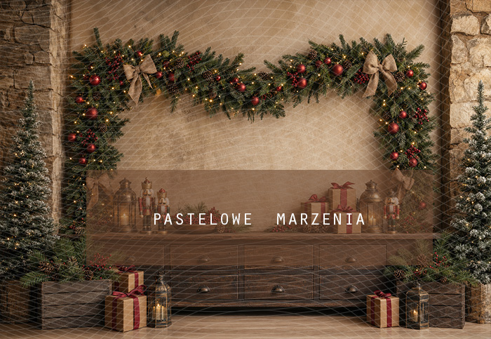Fabric photographic background from the Christmas category, Frame 290x200 cm