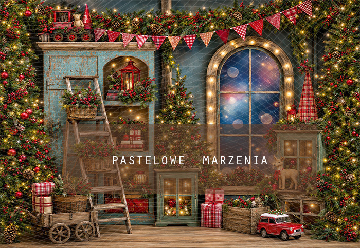 Fabric photographic background from the Christmas category, Frame 290x200 cm