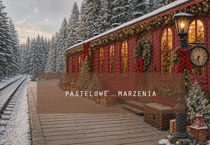 Fabric photographic background from the Christmas category, Frame 290x200 cm
