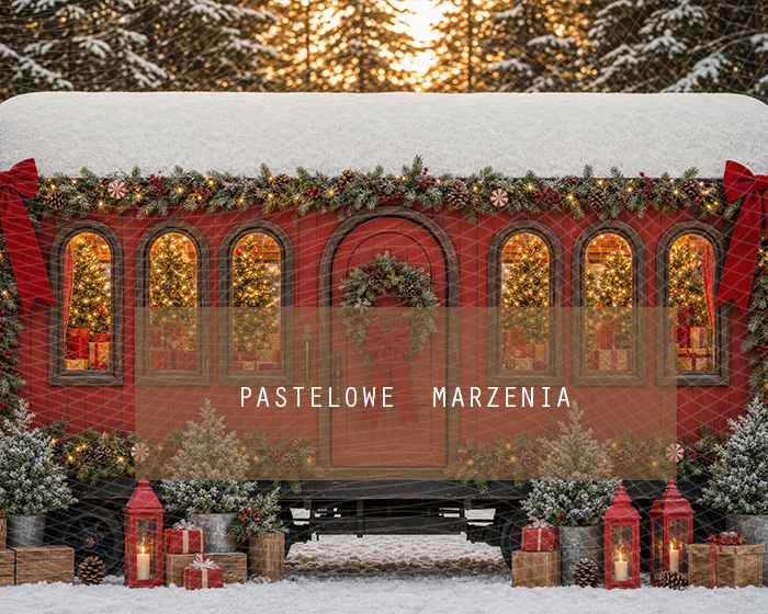 Fabric photographic background from the Christmas category, Frame 250x200 cm