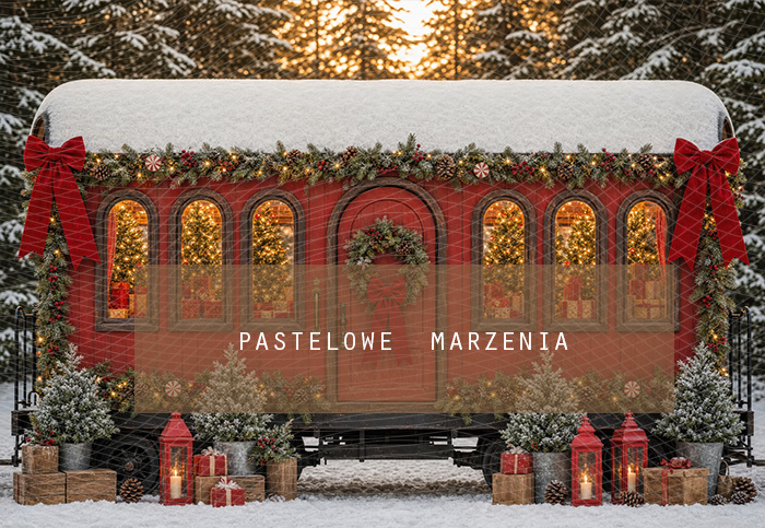 Fabric photographic background from the Christmas category, Frame 290x200 cm