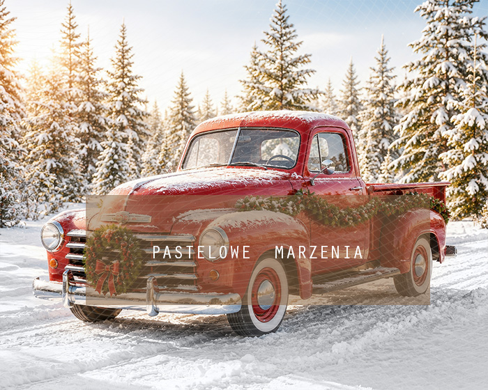 Fabric photographic background from the Christmas category, Frame 250x200 cm