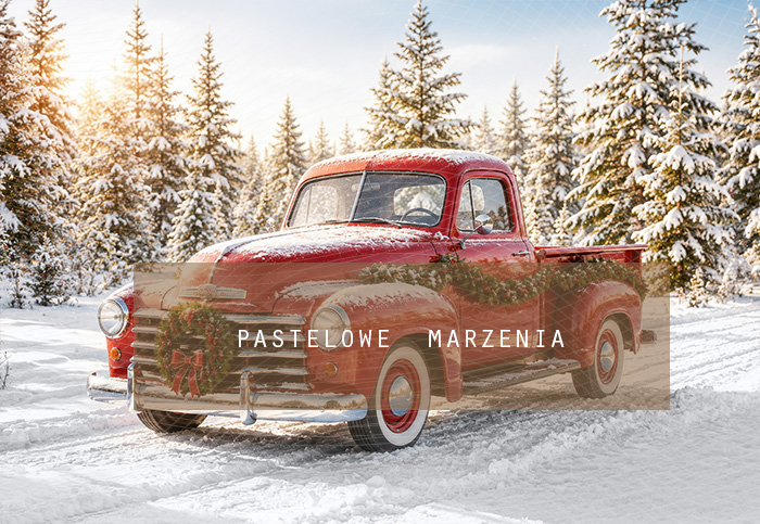 Fabric photographic background from the Christmas category, Frame 290x200 cm