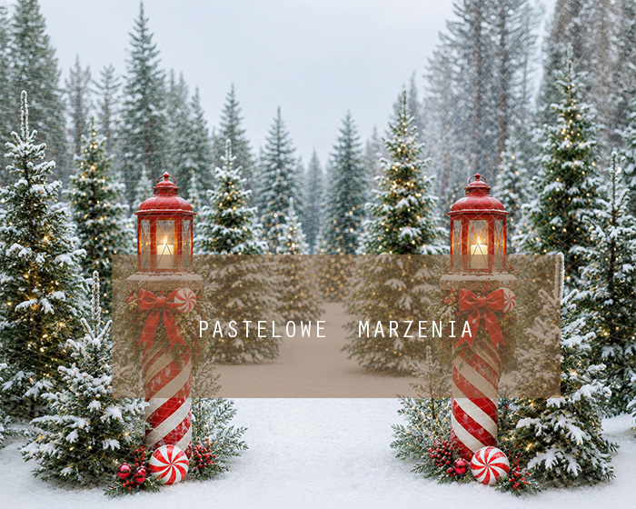 Fabric photographic background from the Christmas category, Crop 250x200 cm