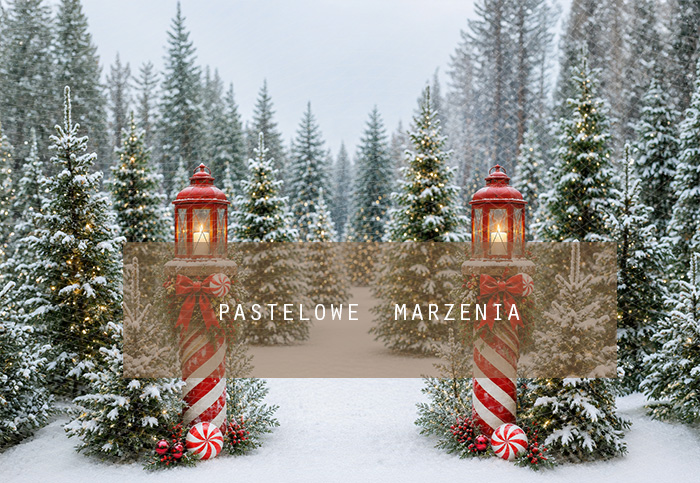 Fabric photographic background from the Christmas category, Crop 290x200 cm