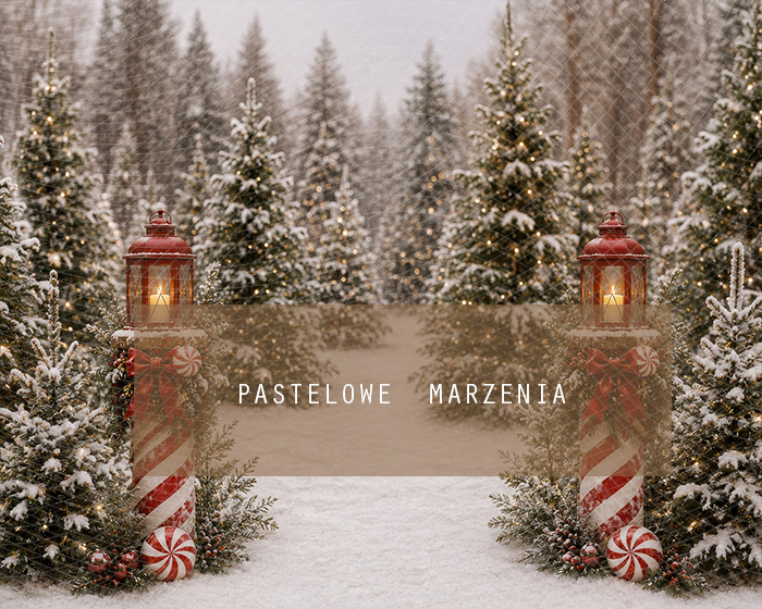 Fabric photographic background from the Christmas category, Frame 250x200 cm