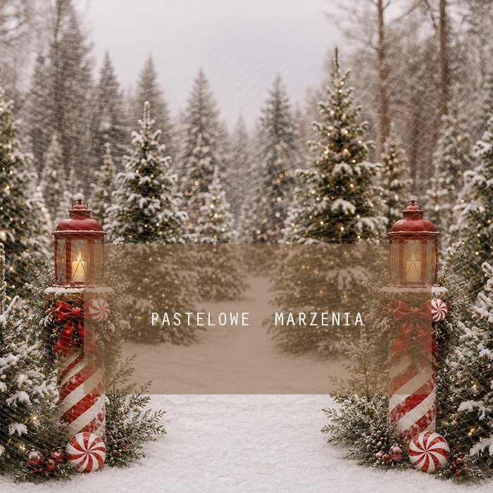 Fabric photographic background from the Christmas category, Frame 250x250 cm