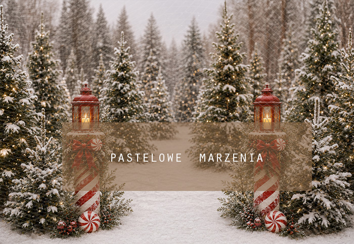 Fabric photographic background from the Christmas category, Frame 290x200 cm