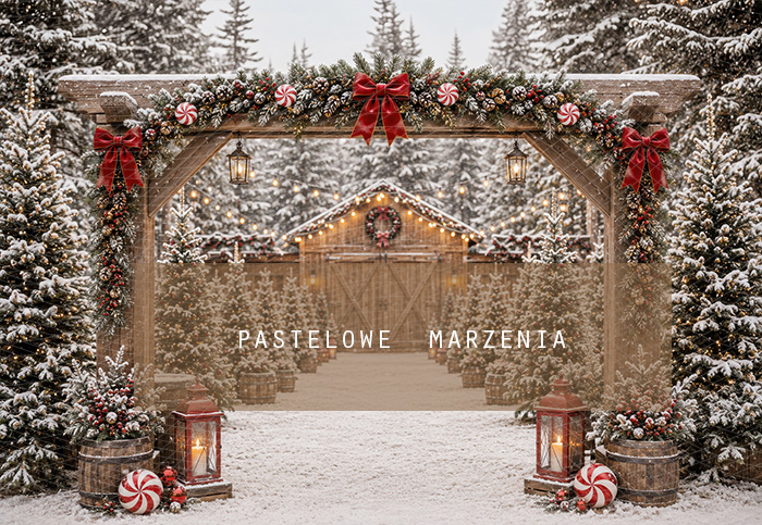 Fabric photographic background from the Christmas category, Frame 290x200 cm