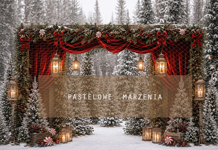 Fabric photographic background from the Christmas category, Frame 290x200 cm