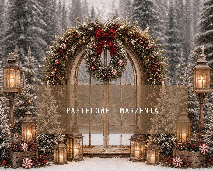 Fabric photographic background from the Christmas category, Frame 250x200 cm