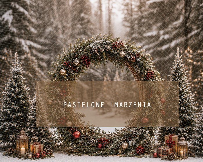 Fabric photographic background from the Christmas category, Frame 250x200 cm
