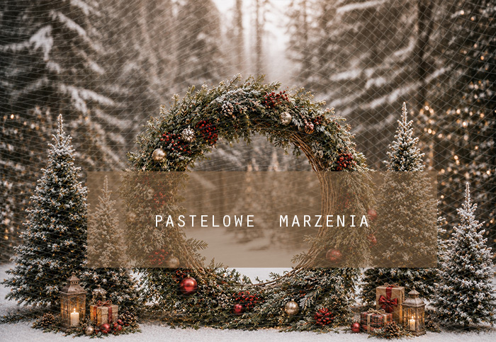 Fabric photographic background from the Christmas category, Frame 290x200 cm