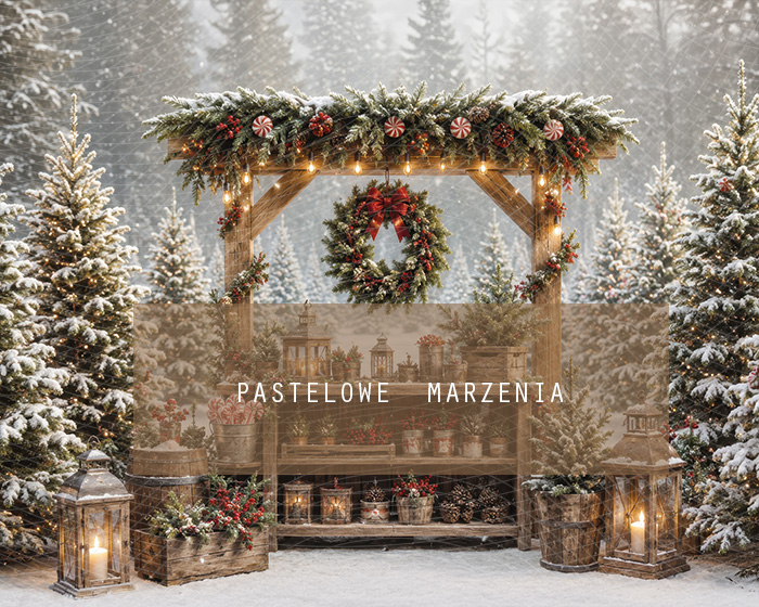 Fabric photographic background from the Christmas category, Frame 250x200 cm