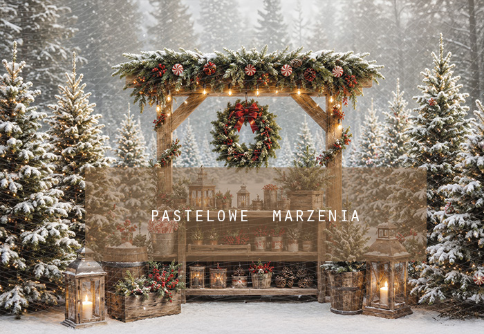 Fabric photographic background from the Christmas category, Frame 290x200 cm