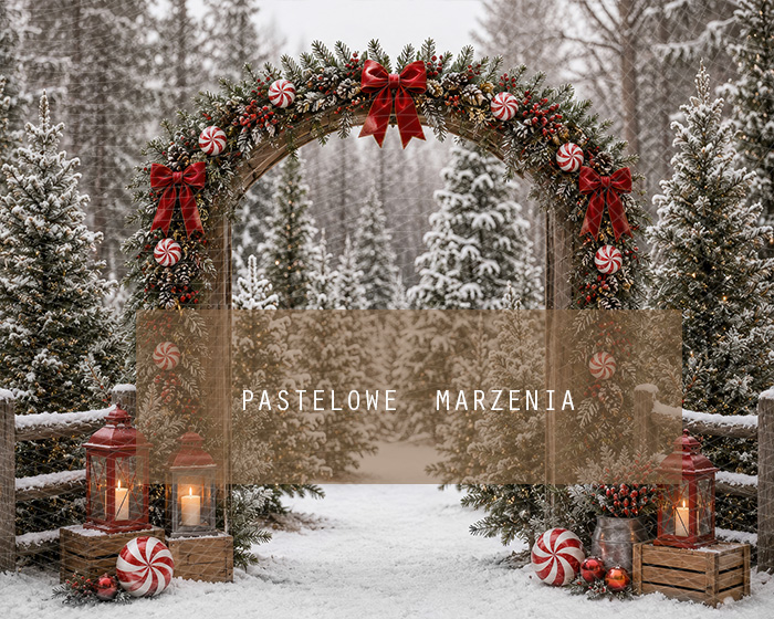 Fabric photographic background from the Christmas category, Frame 250x200 cm