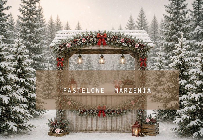 Fabric photographic background from the Christmas category, Frame 290x200 cm