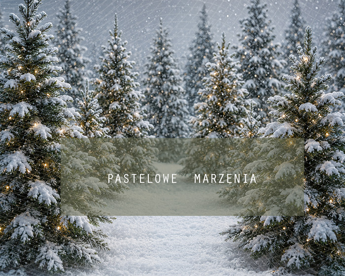 Fabric photographic background from the Christmas category, Frame 250x200 cm