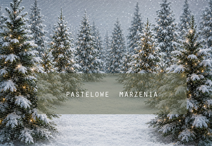 Fabric photographic background from the Christmas category, Frame 290x200 cm