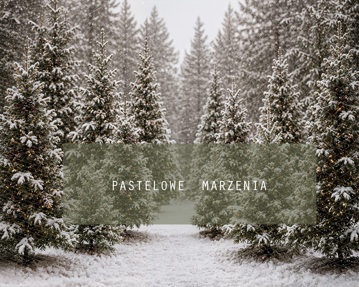 Fabric photographic background from the Christmas category, Frame 250x200 cm
