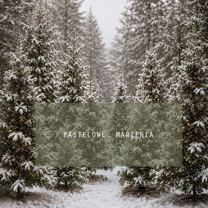 Fabric photographic background from the Christmas category, Frame 250x250 cm