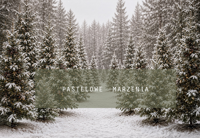 Fabric photographic background from the Christmas category, Frame 290x200 cm