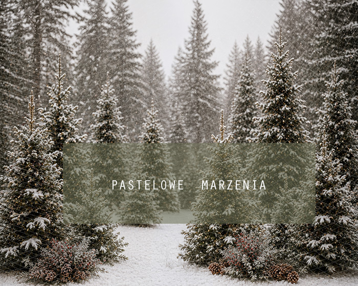 Fabric photographic background from the Christmas category, Frame 250x200 cm