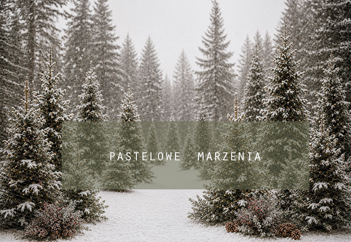 Fabric photographic background from the Christmas category, Frame 290x200 cm